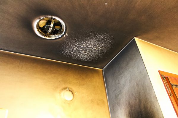 Smoke Damage Remediation in Oceanside